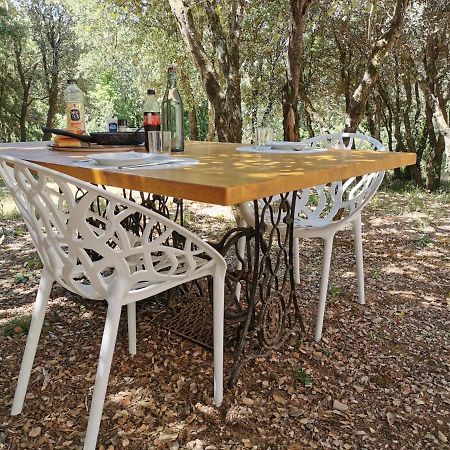 Gite Moderne En Drome Roche-Saint-Secret Ngoại thất bức ảnh